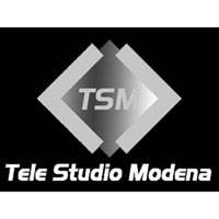 Telestudio Modena Logo